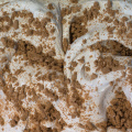 creme_gelato_linusice_Mirk_ONE_17