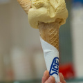 linus_ice_ONE_6985_mirk_ONE