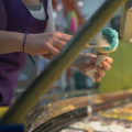linus_ice_ONE_7024_mirk_ONE